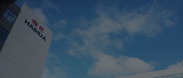 Company Profile